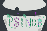 PSINDB logo